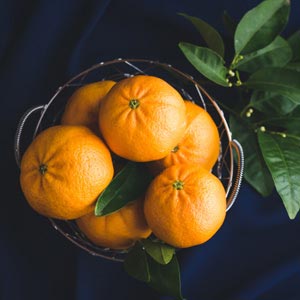 周志敏的缤纷水果店