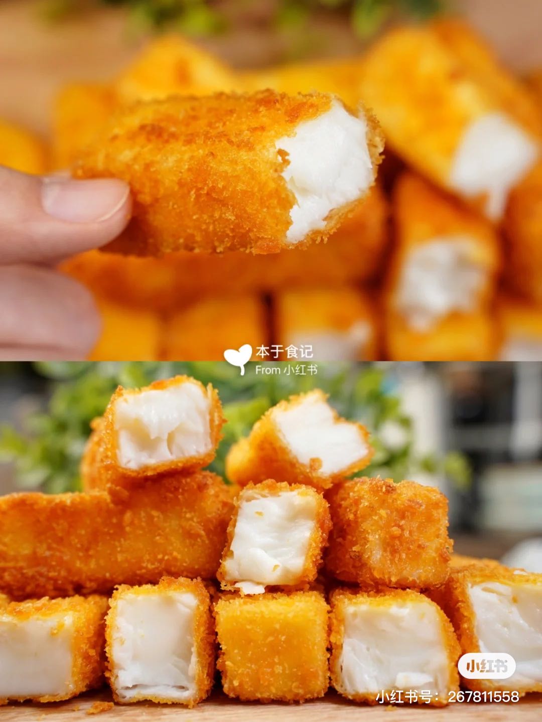 猪猪菌的新餐馆