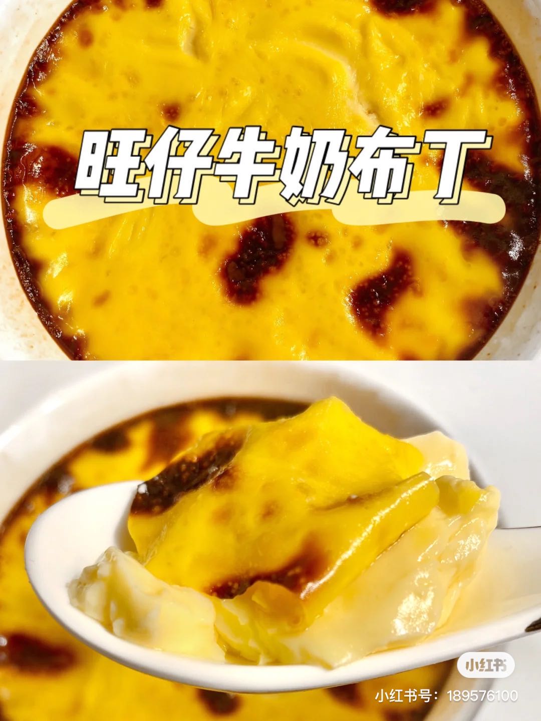 猪猪菌的新餐馆