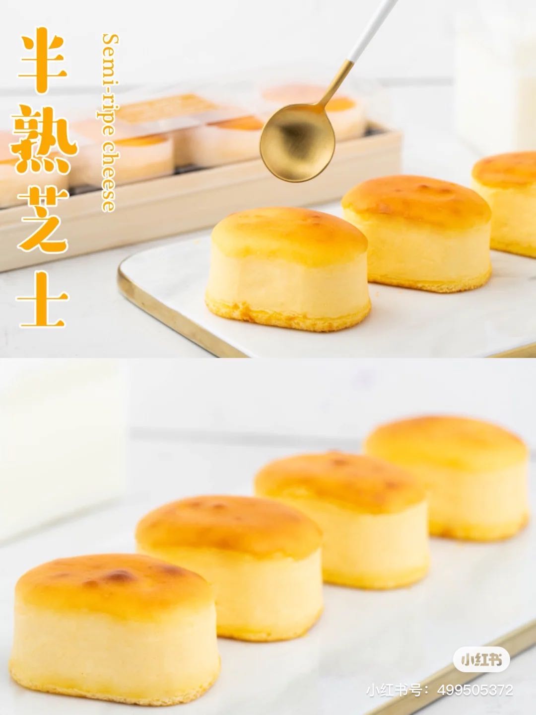 猪猪菌的新餐馆