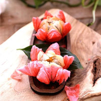 白狸儿的新餐馆