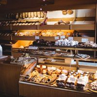 猫猫蚂的新餐馆