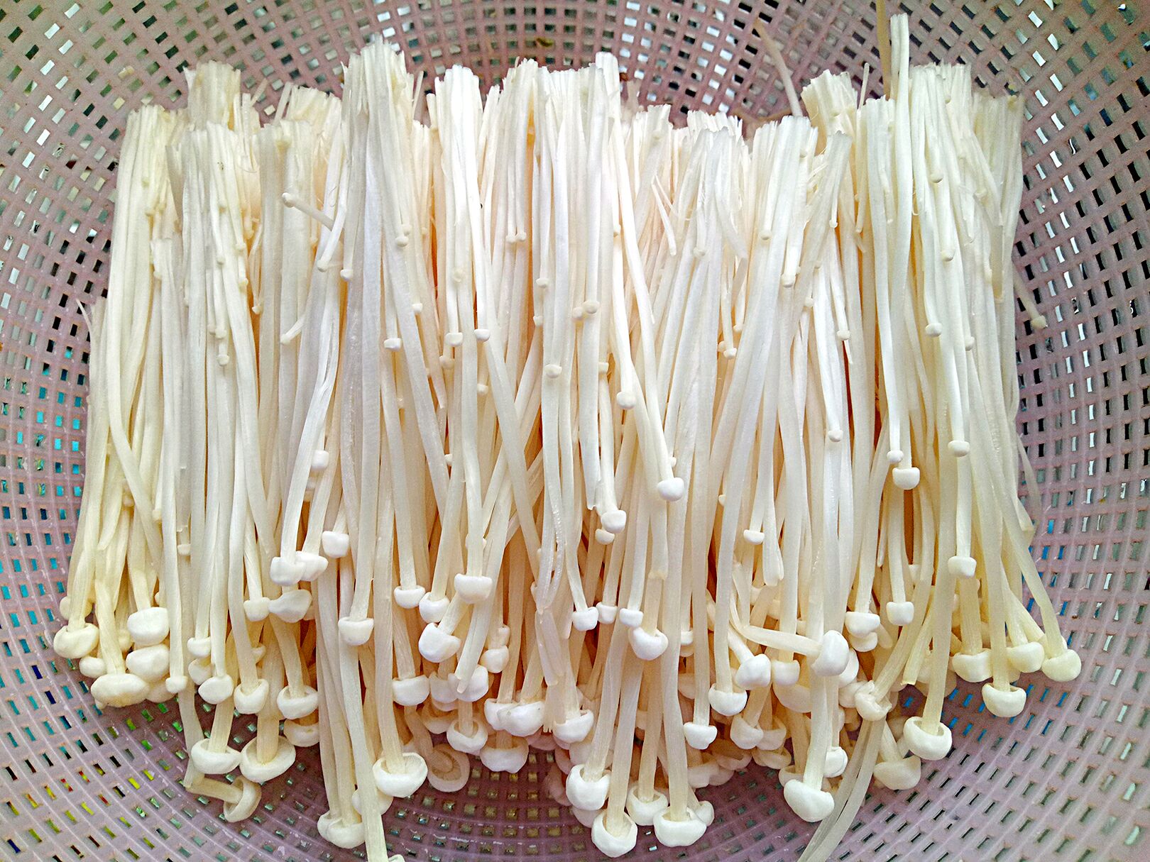 辣味天下