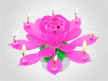 唐永睿的小弟特朗普的小店