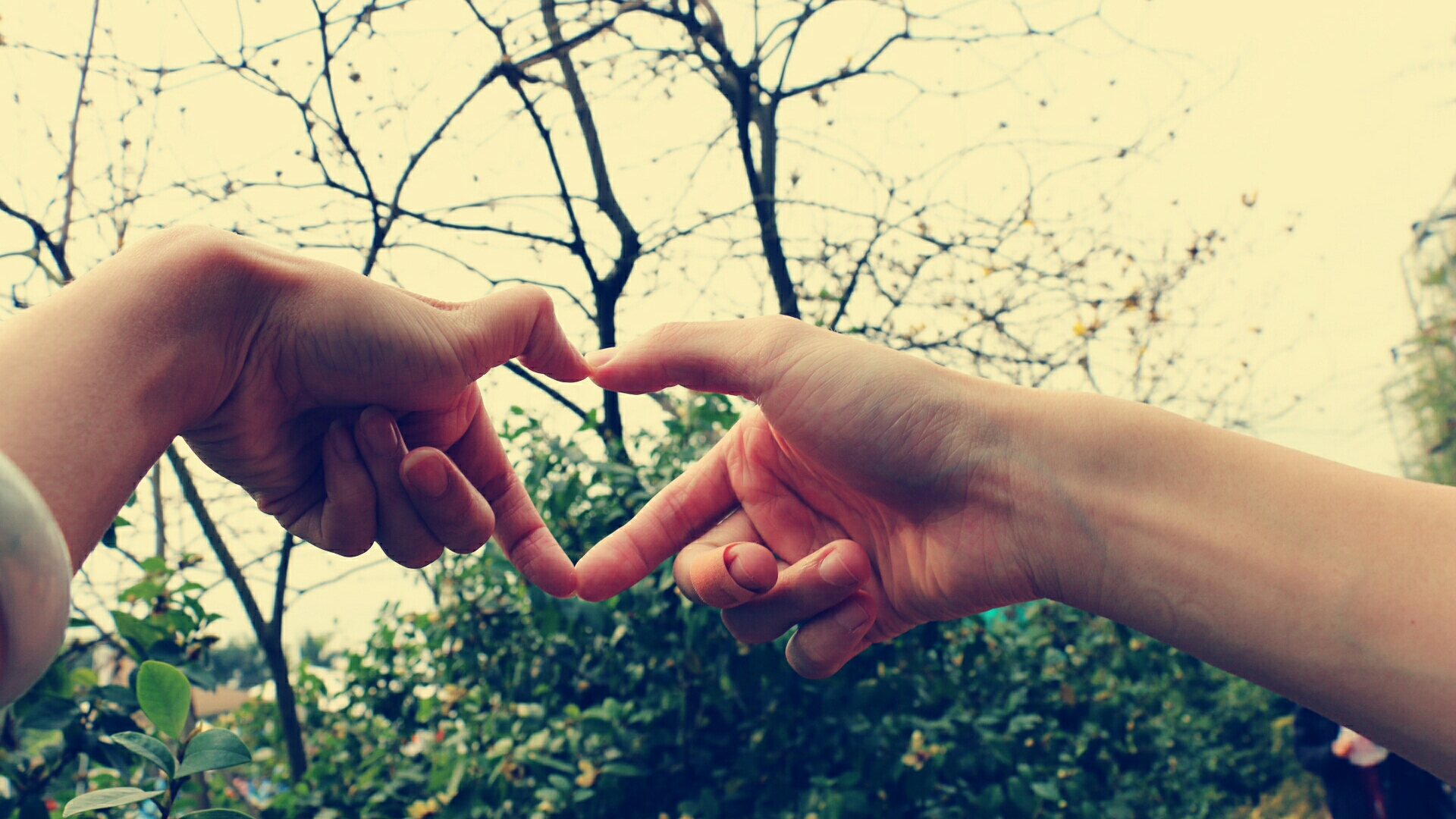 商家还没上传执照