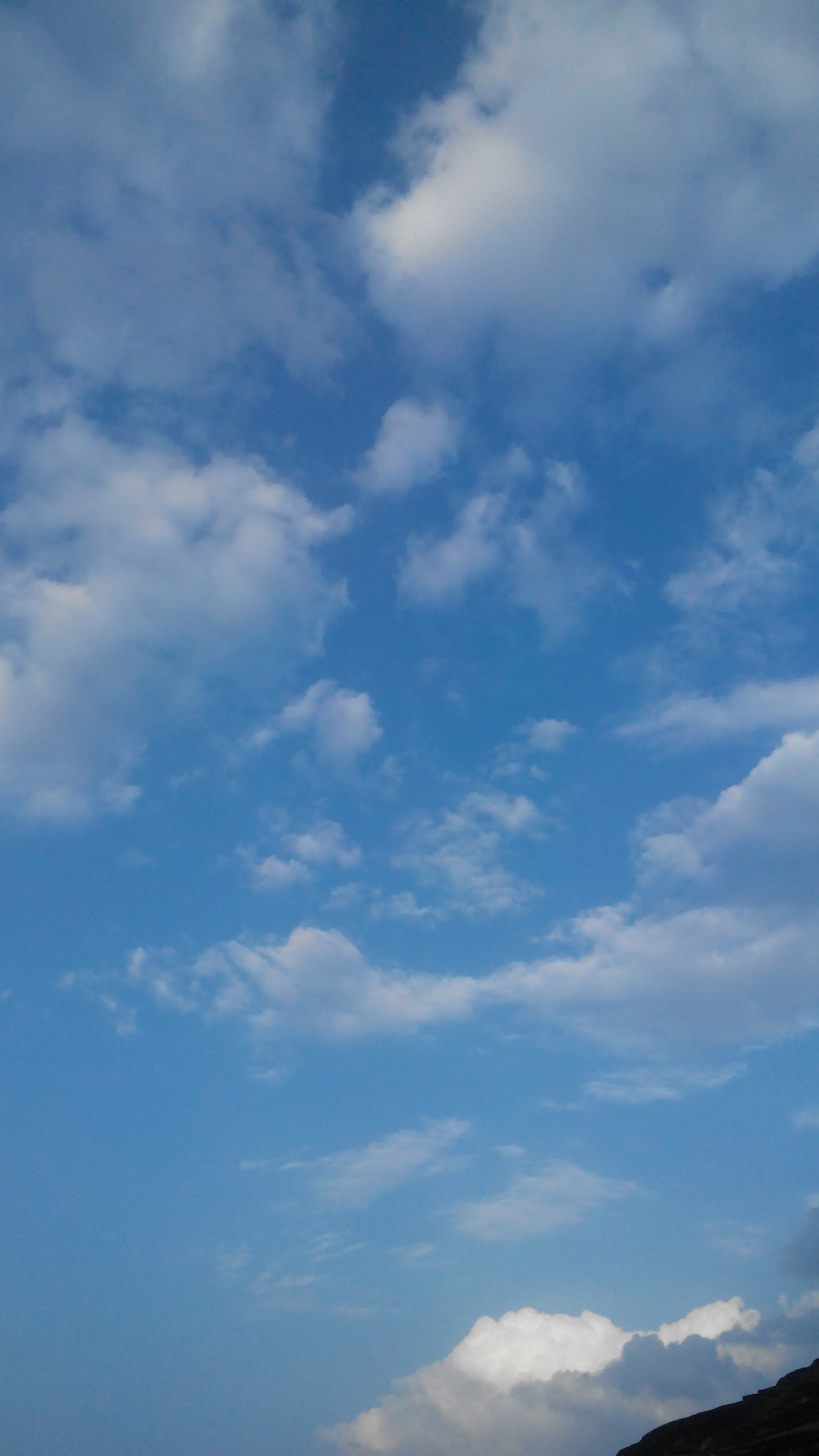 商家还没上传执照