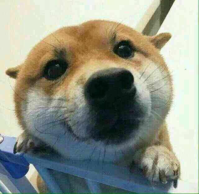 商家还没上传执照