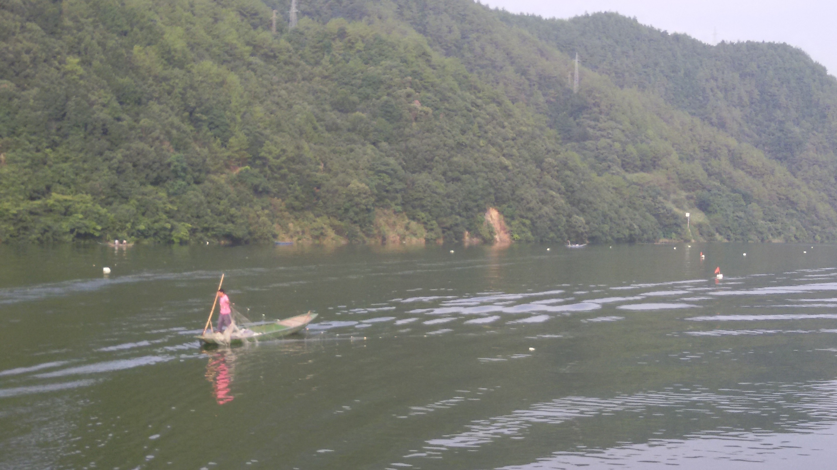 商家还没上传执照