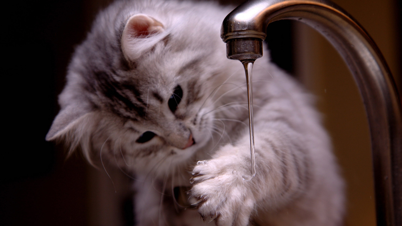 商家还没上传执照