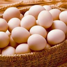 商家还没上传执照