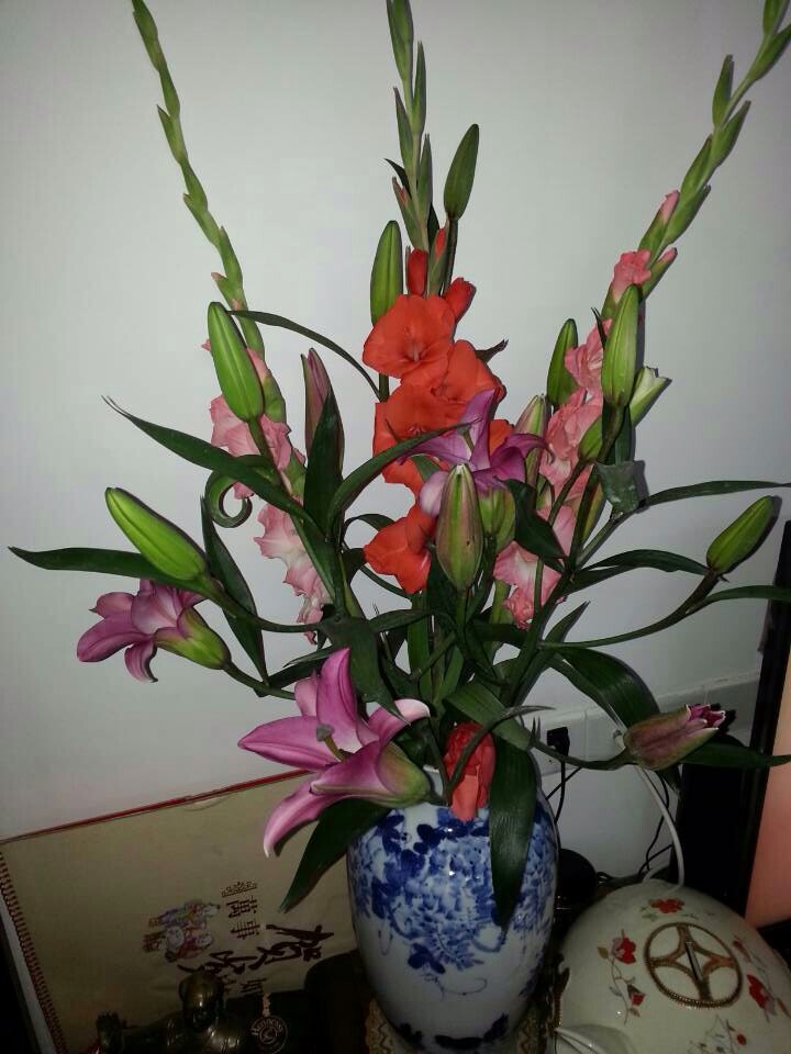 商家还没上传执照