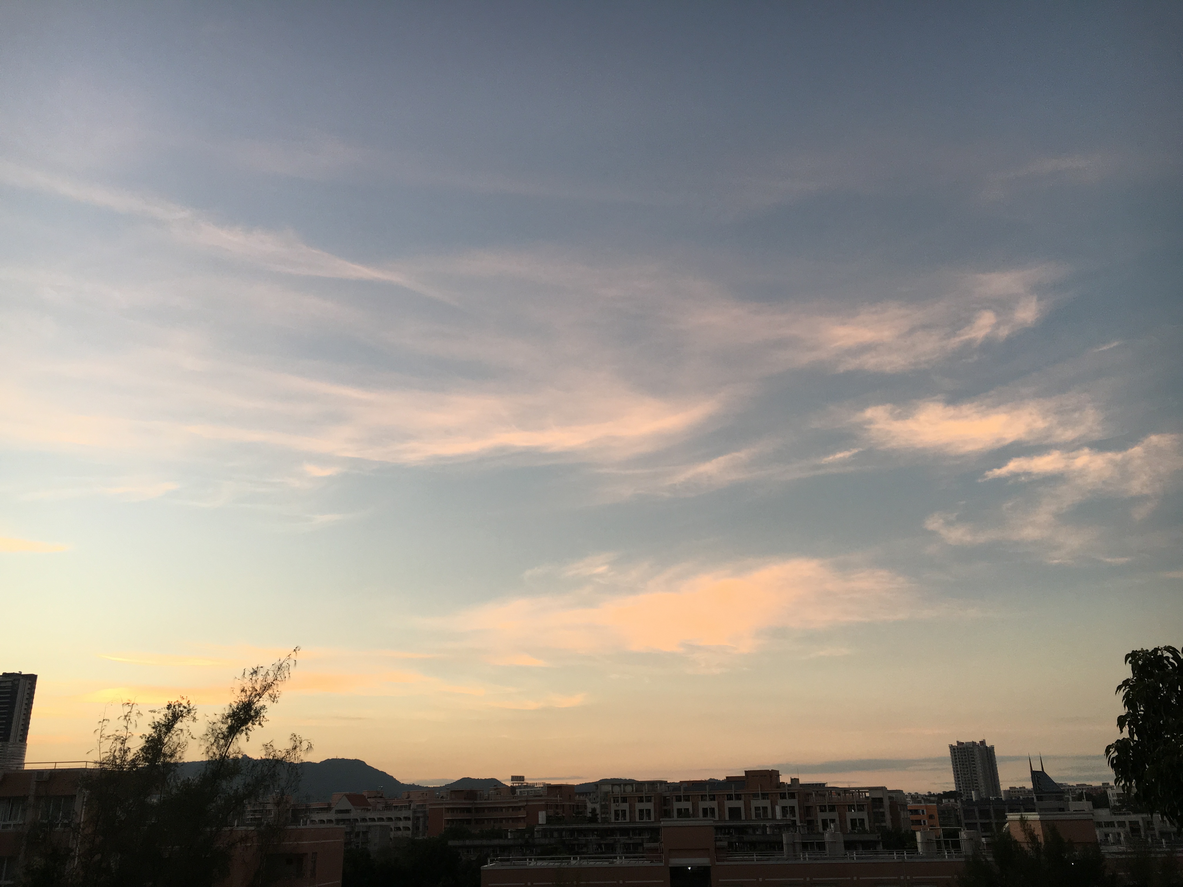 商家还没上传执照