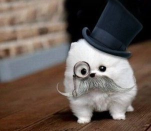 商家还没上传执照