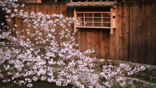 商家还没上传执照