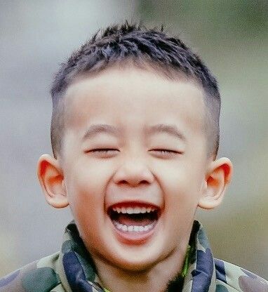 商家还没上传执照