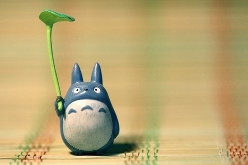 商家还没上传执照
