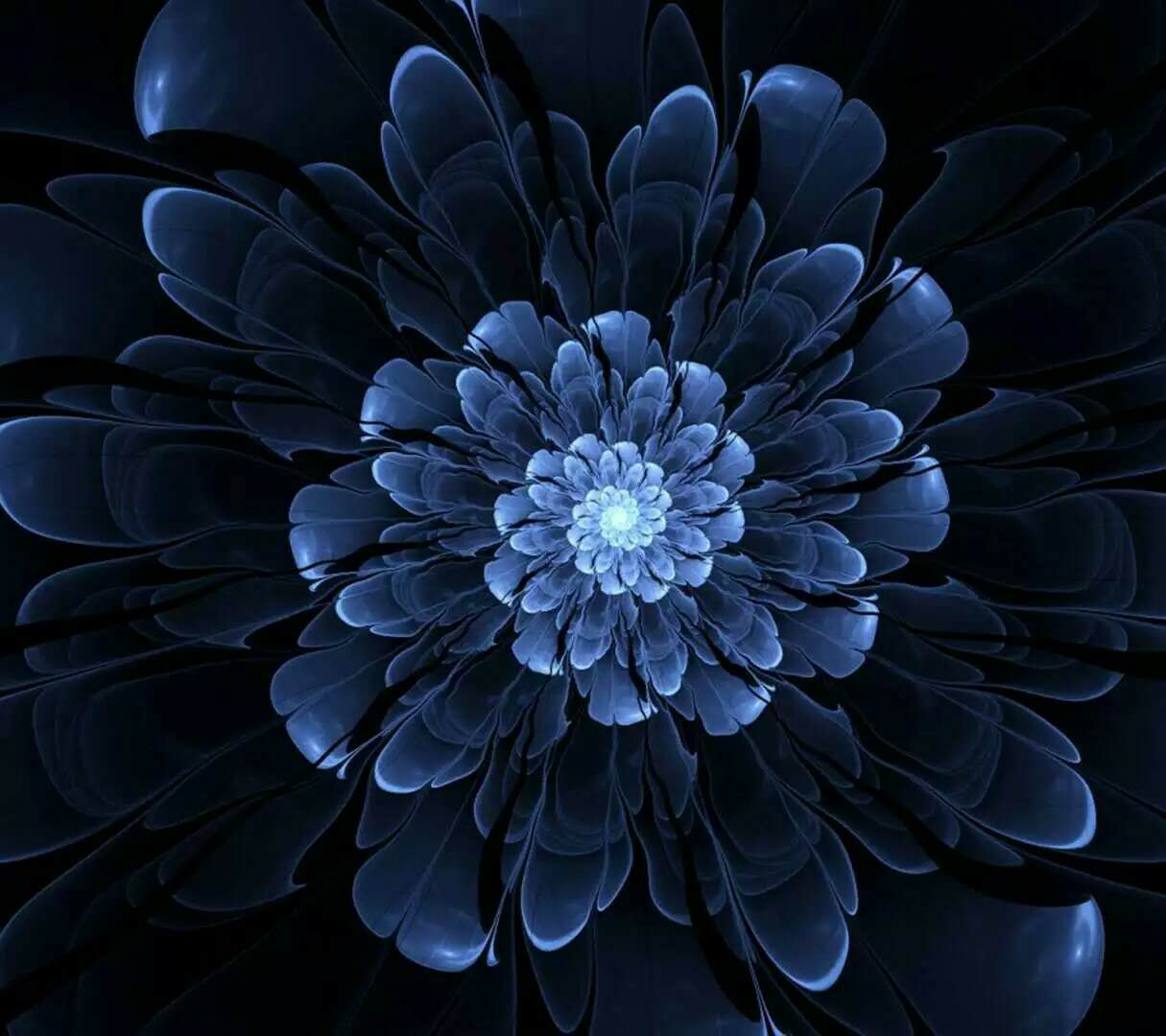 商家还没上传执照