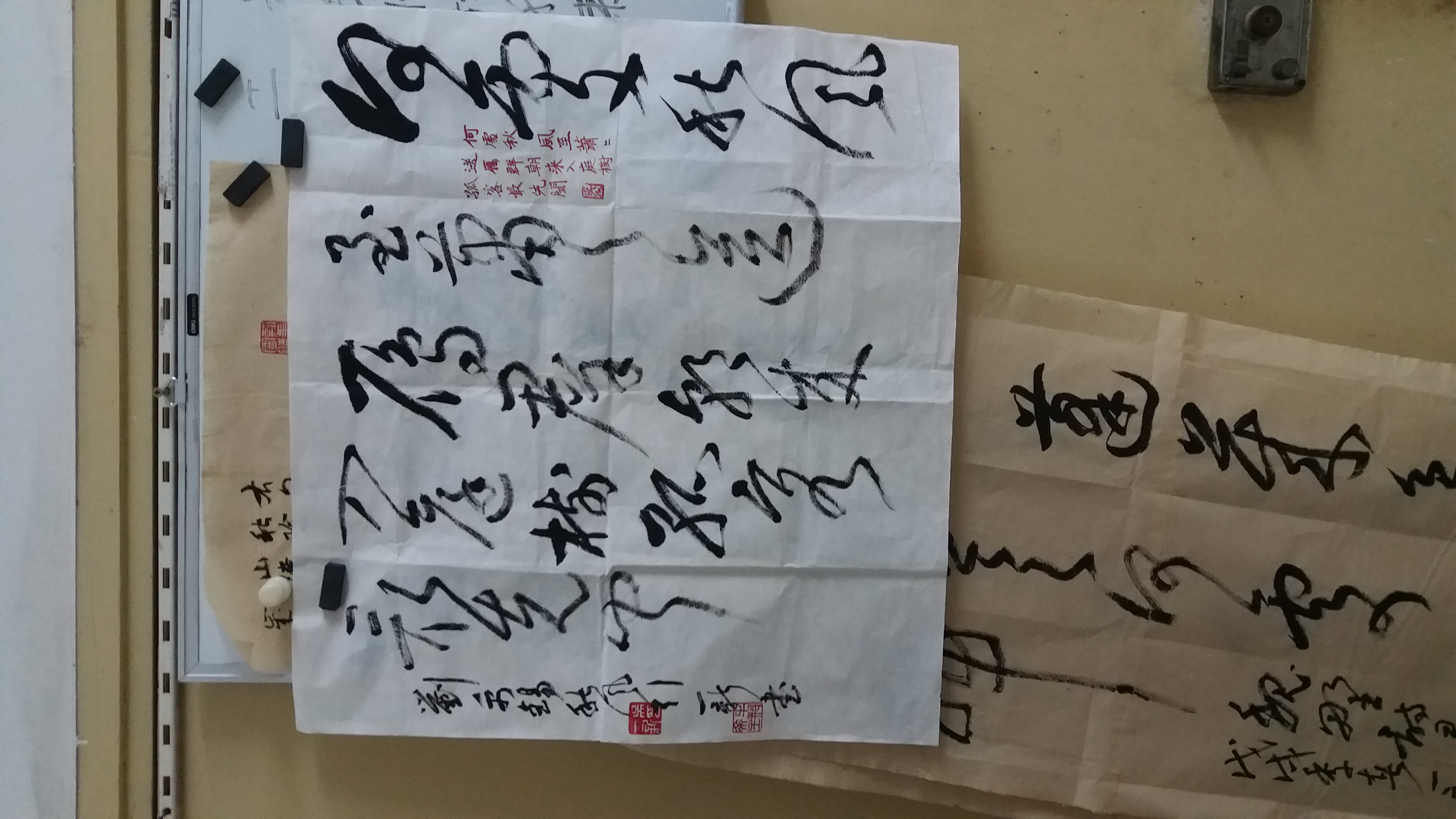 商家还没上传执照