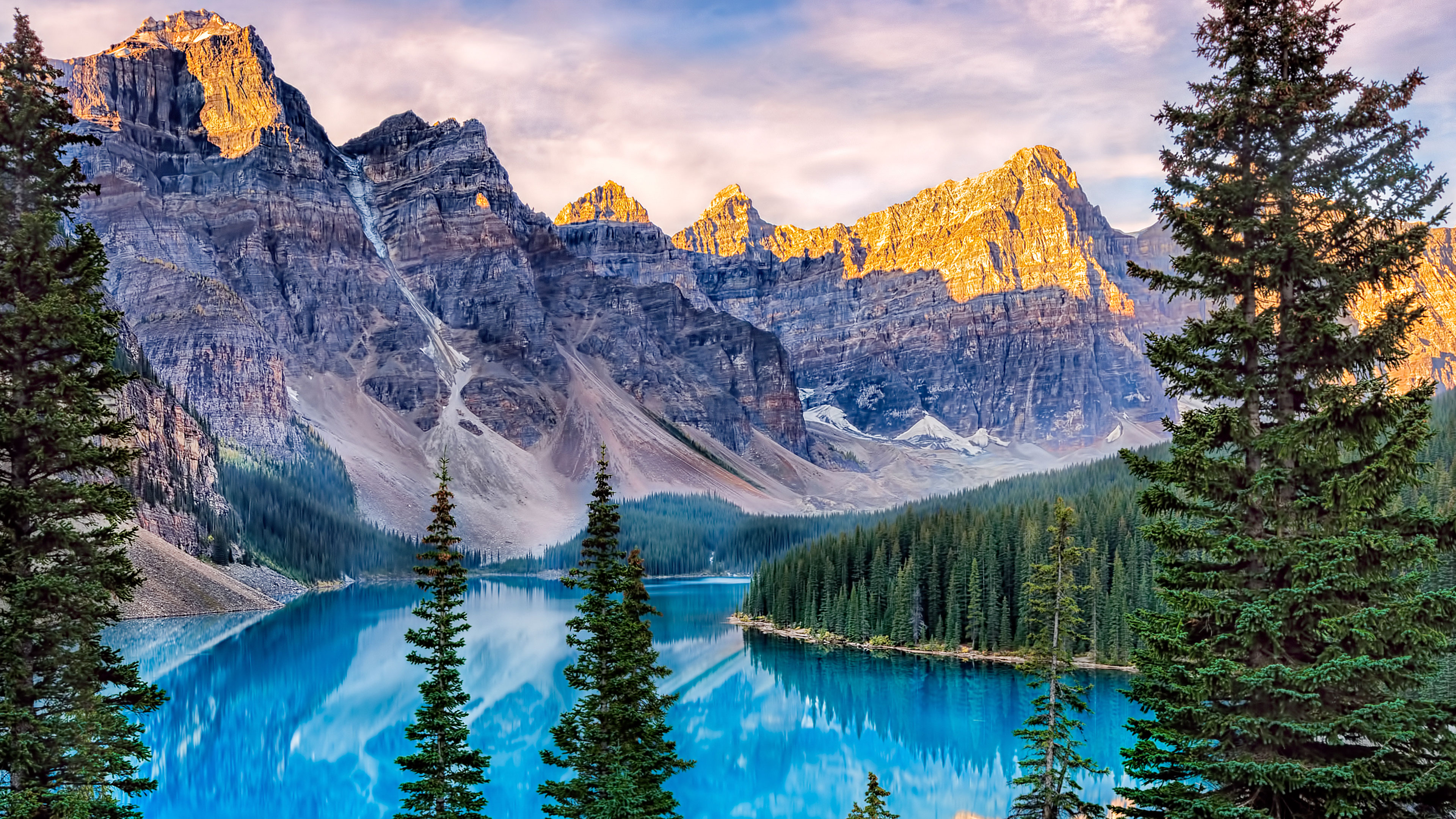 商家还没上传执照