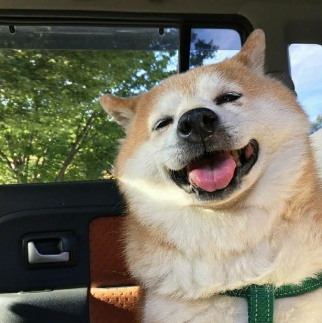 商家还没上传执照