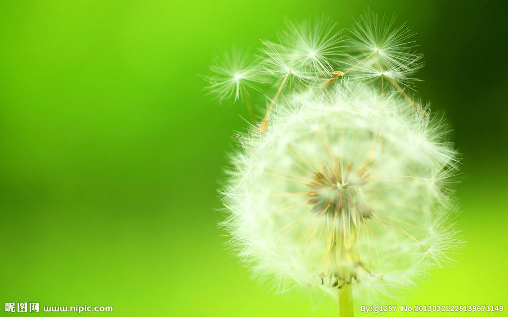 商家还没上传执照