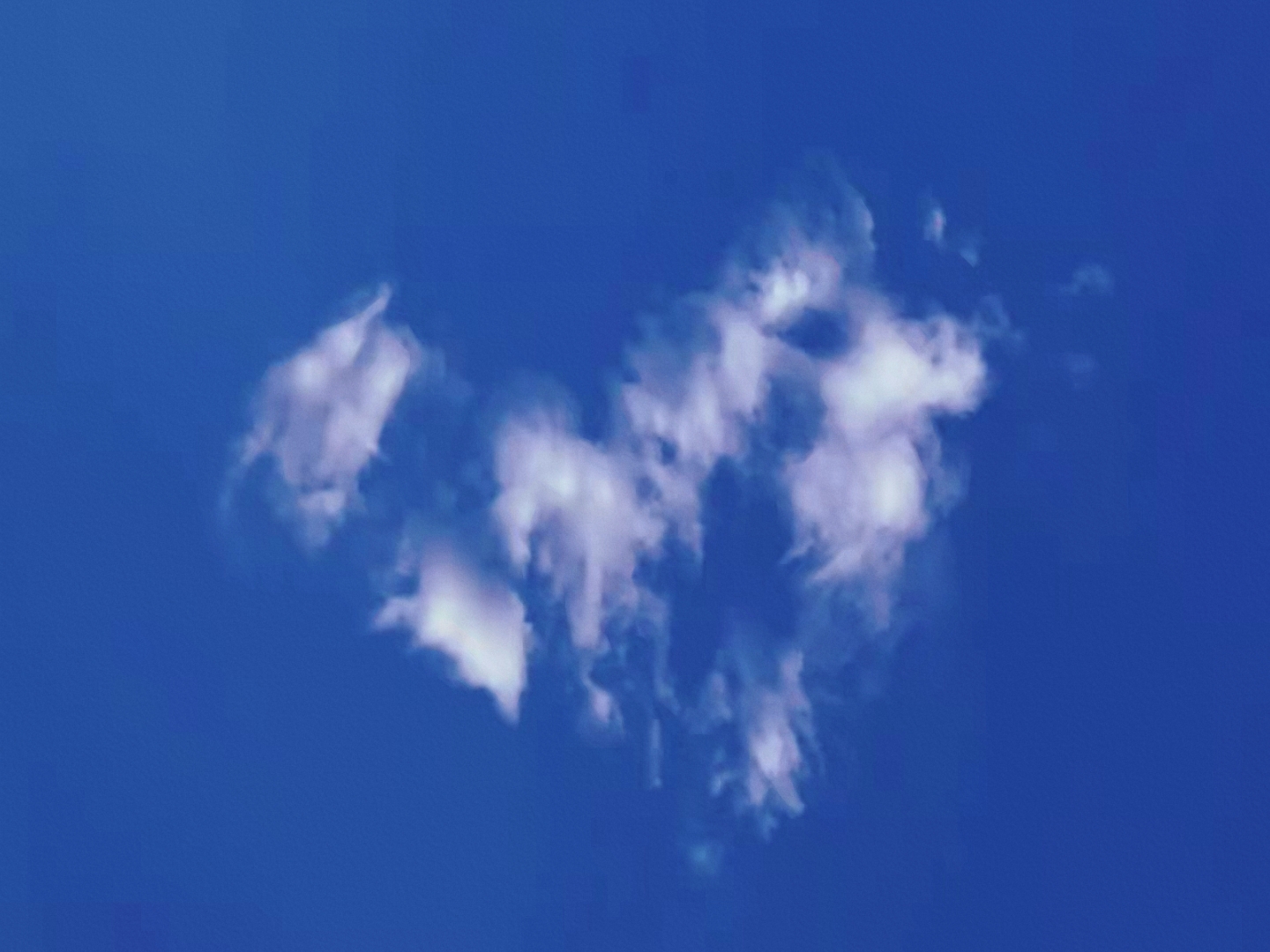 商家还没上传执照