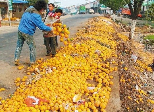 商家还没上传执照