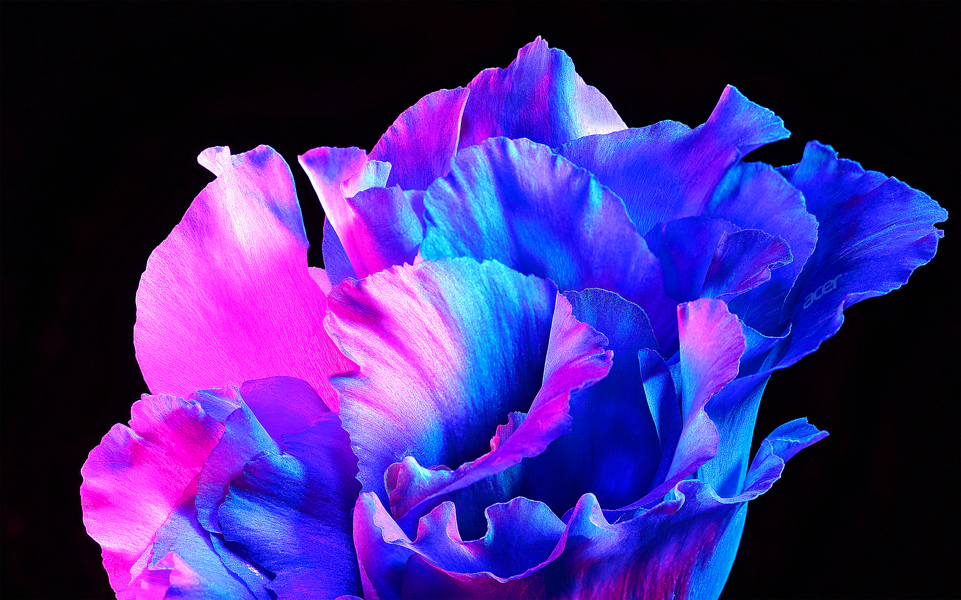 商家还没上传执照