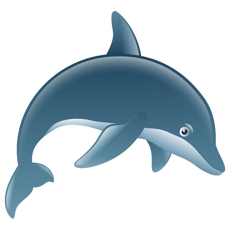 商家还没上传执照