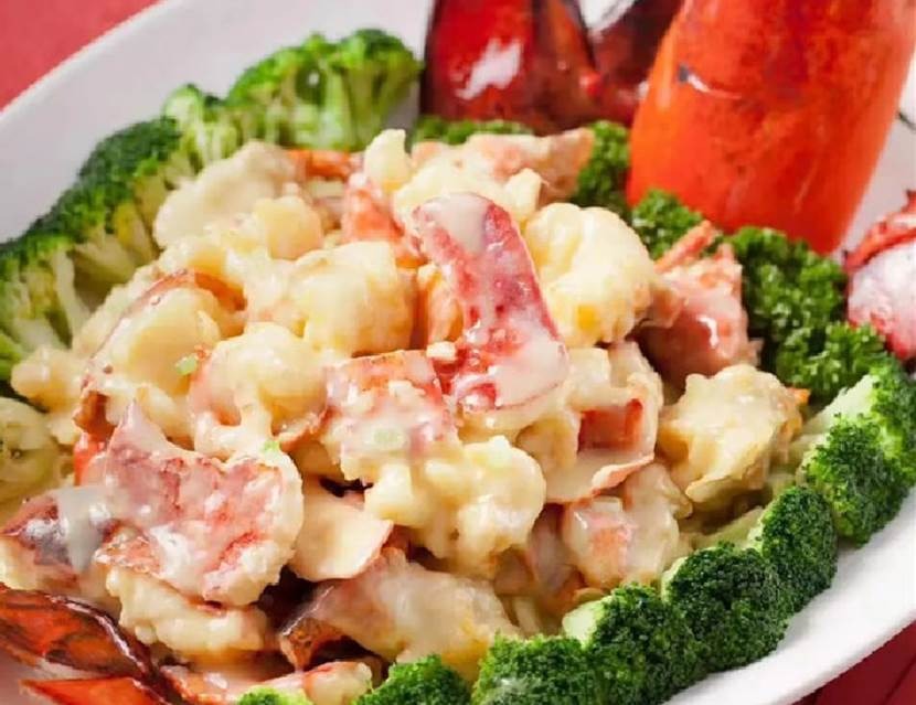 商家还没上传执照