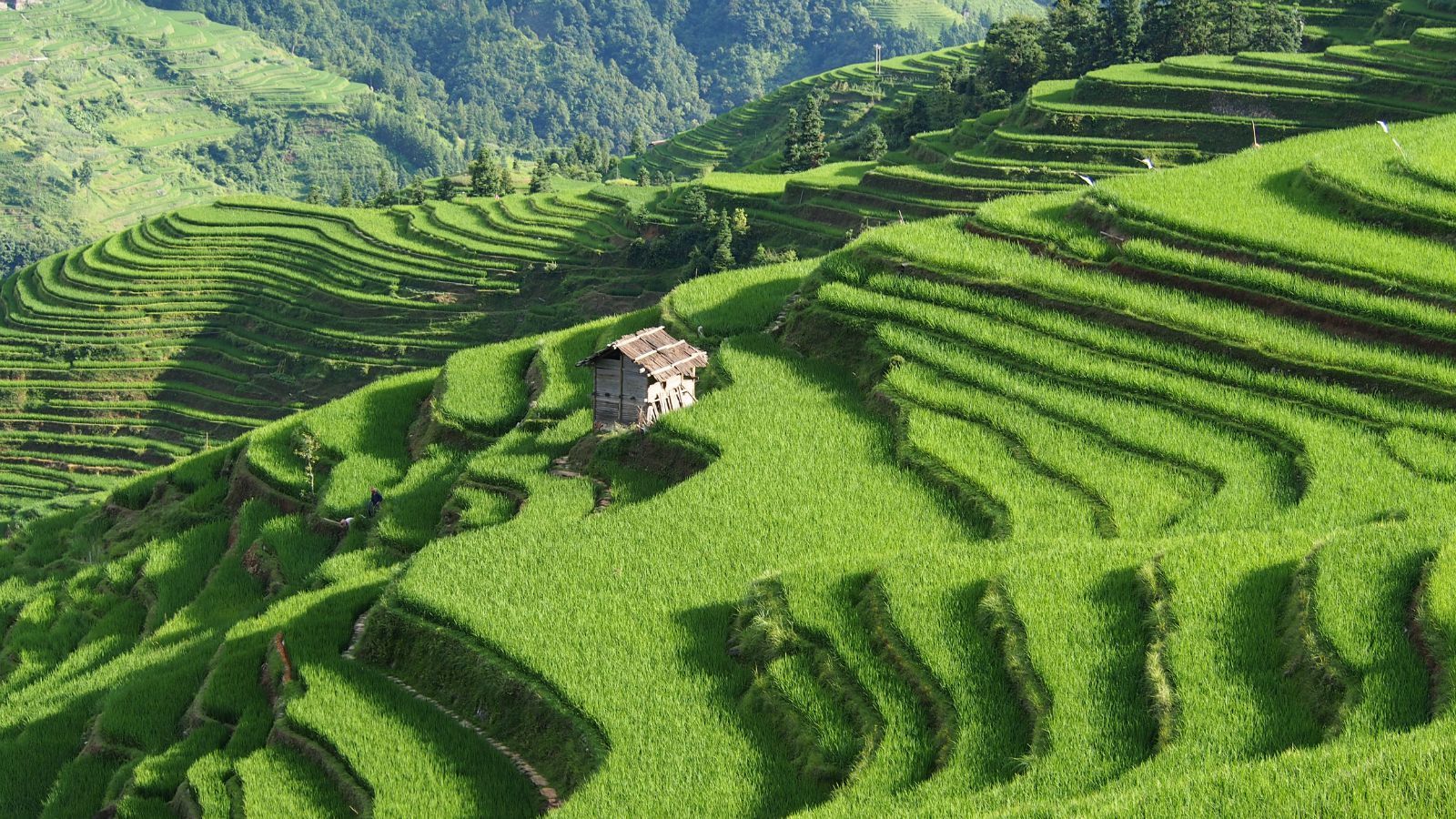 东平农产品基地